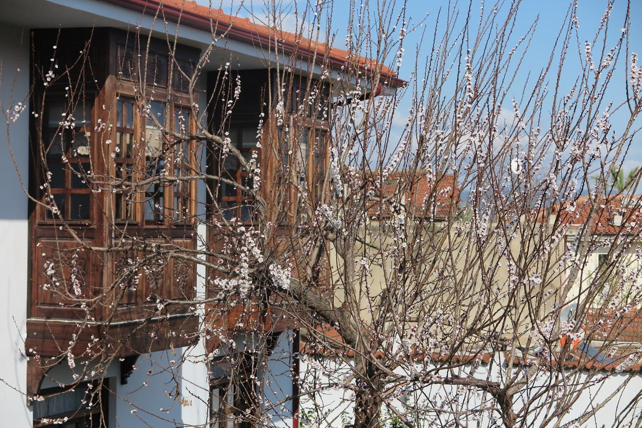 Ephesus Paradise Hotell Selçuk Exteriör bild