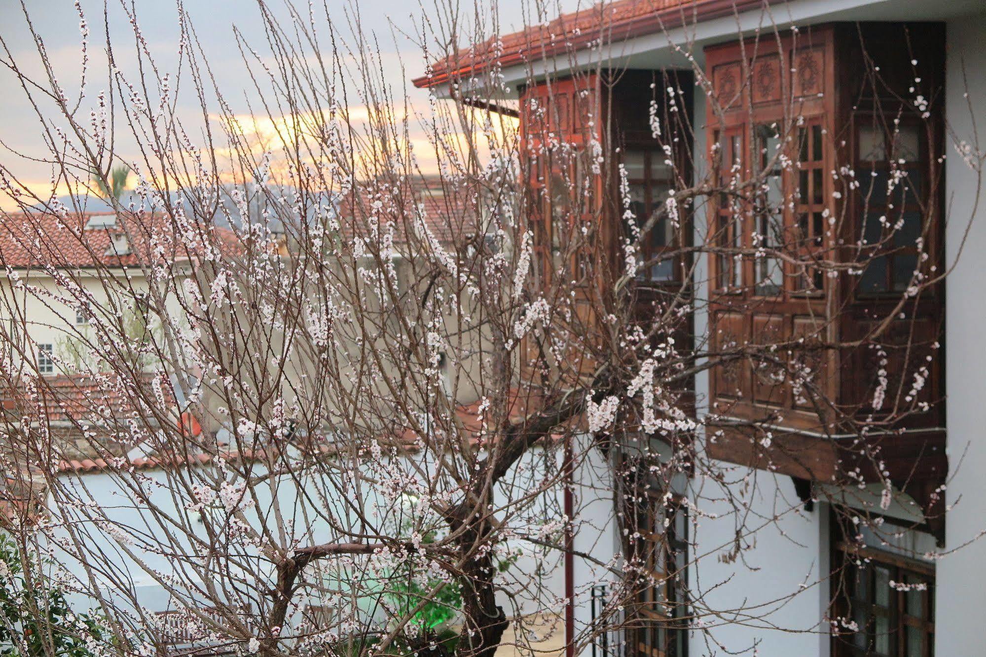 Ephesus Paradise Hotell Selçuk Exteriör bild