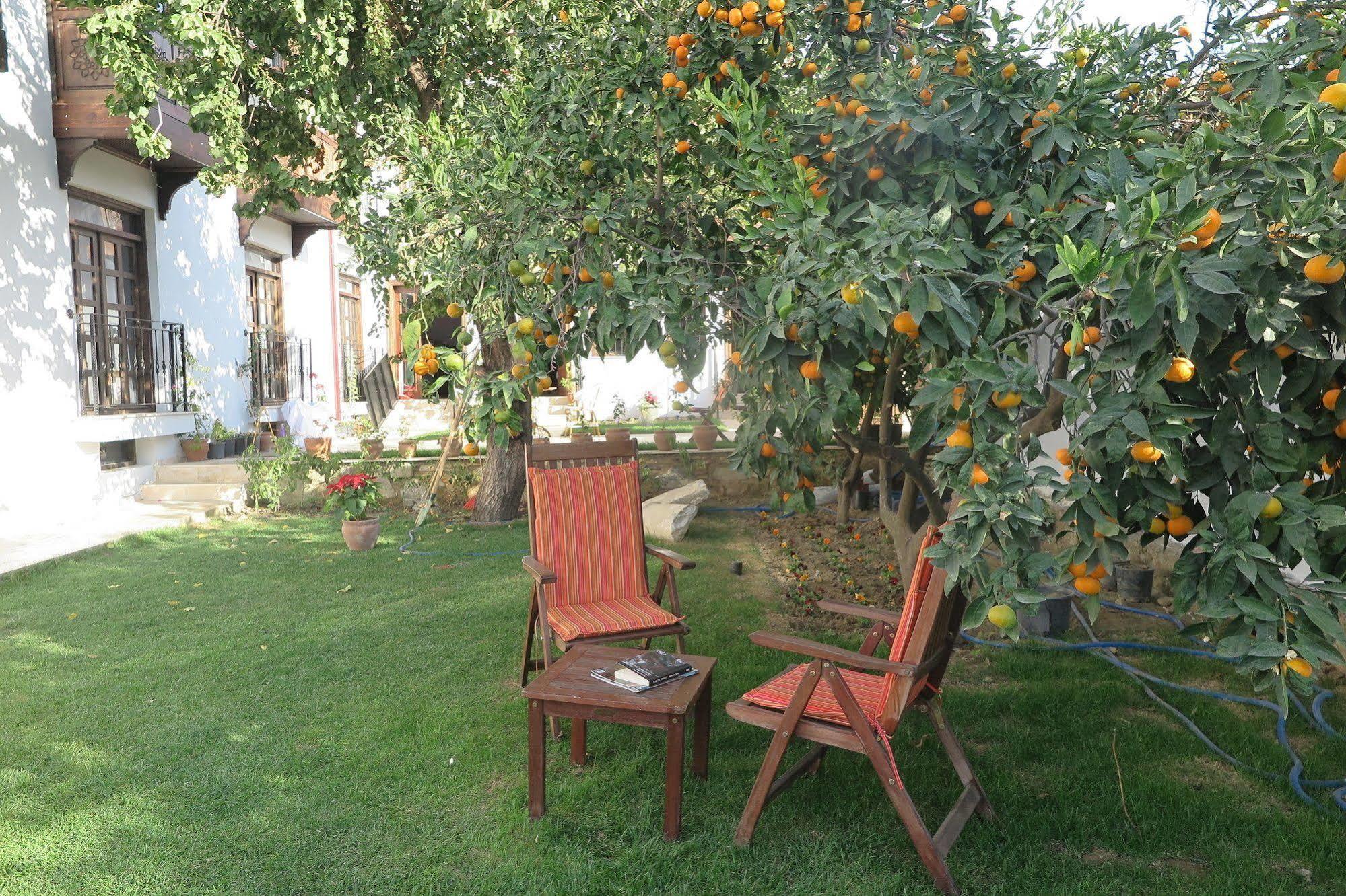 Ephesus Paradise Hotell Selçuk Exteriör bild