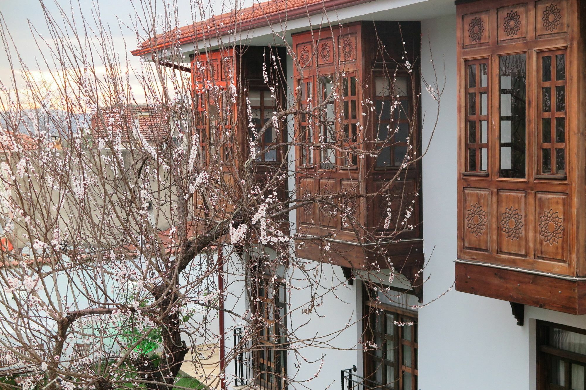 Ephesus Paradise Hotell Selçuk Exteriör bild